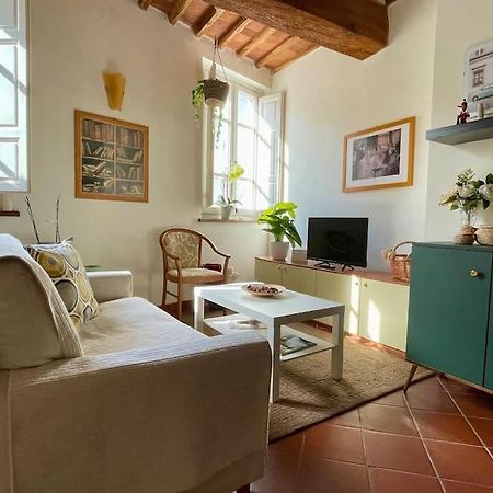 Casa Luisa - Mura Di Lucca Exteriér fotografie